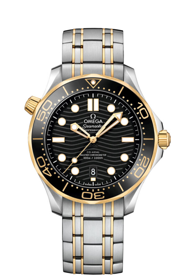 Omega Seamaster Diver  O21020422001002