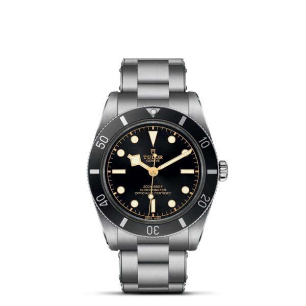 Tudor Black Bay 54  79000N0001