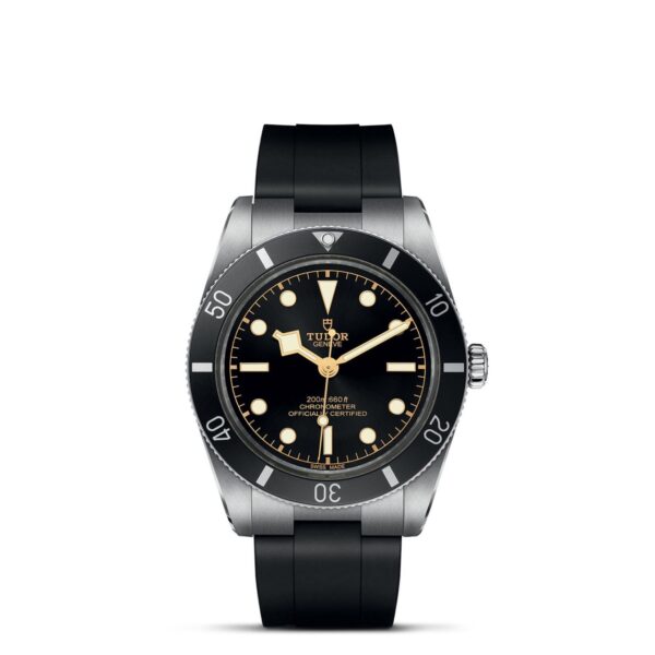 Tudor Black Bay 54  79000N0002