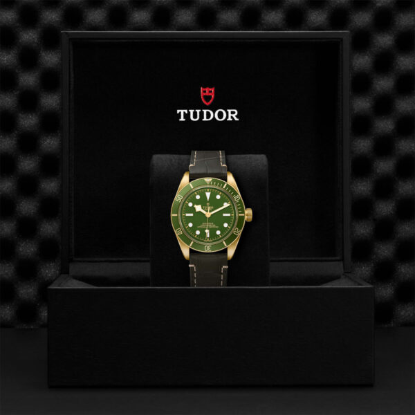 Tudor Black Bay 58  79018V0001