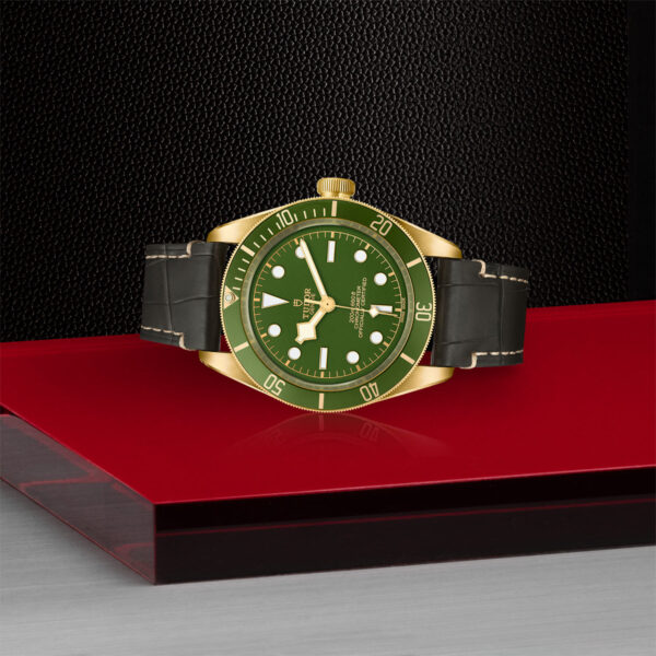 Tudor Black Bay 58  79018V0001