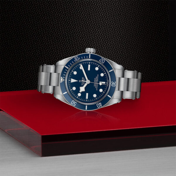 Tudor Black Bay 58  79030B0001