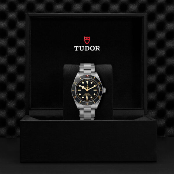 Tudor Black Bay 58  79030N0001