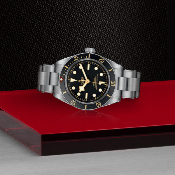 Tudor Black Bay 58  79030N0001