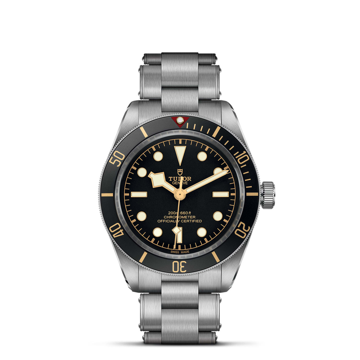 Tudor Black Bay 58  79030N0001