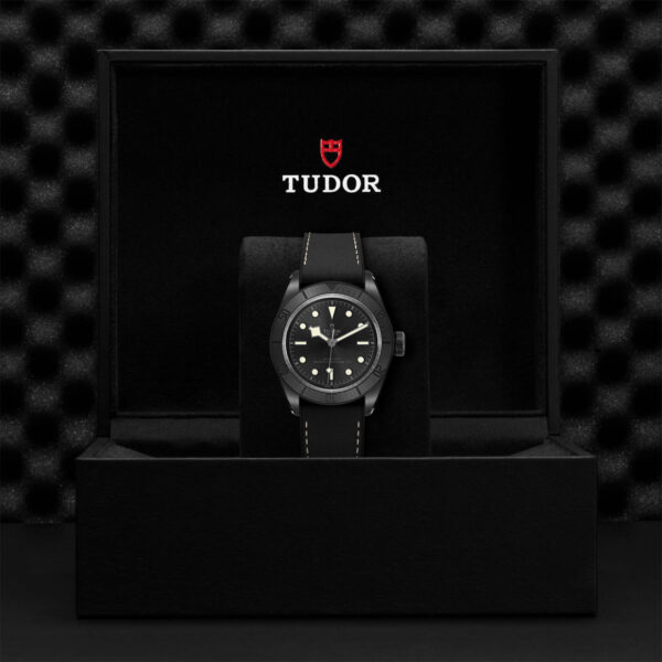 Tudor Black Bay   79210CNU0001