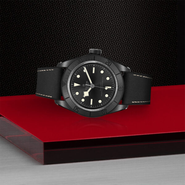 Tudor Black Bay   79210CNU0001