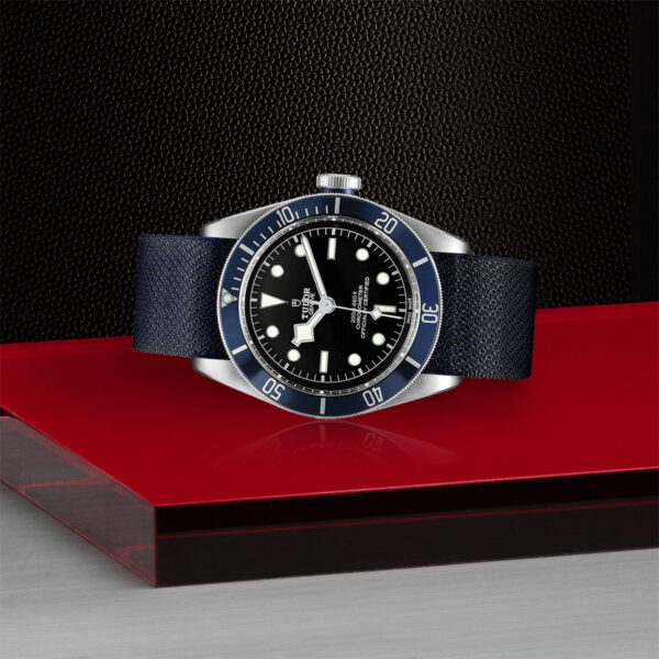 Tudor Black Bay   79230B0006