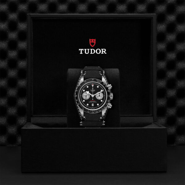 Tudor Black Bay   79360N0005