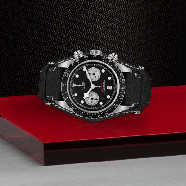 Tudor Black Bay   79360N0005