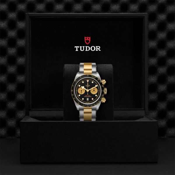 Tudor Black Bay   79363N0001