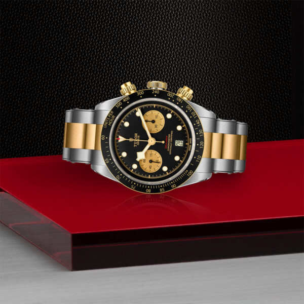 Tudor Black Bay   79363N0001