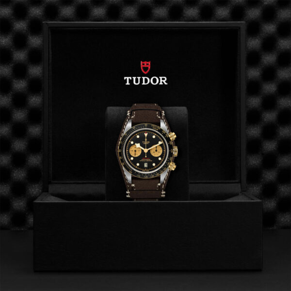 Tudor Black Bay   79363N0002