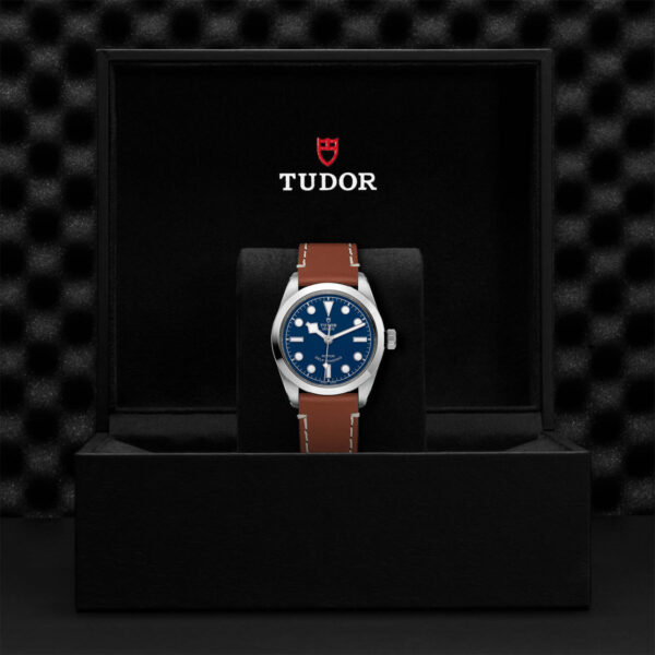 Tudor Black Bay   795000006