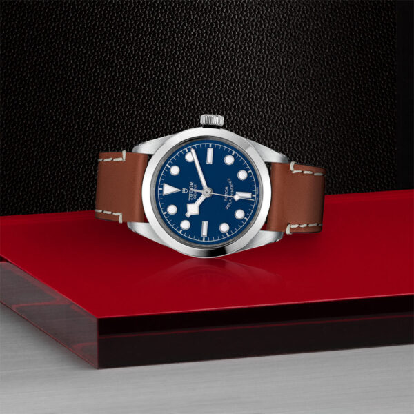 Tudor Black Bay   795000006