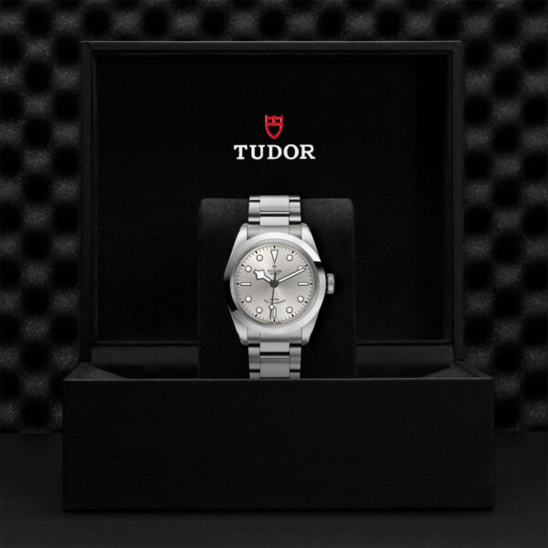 Tudor Black Bay   795400011