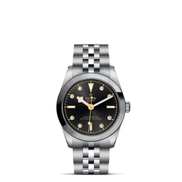 Tudor Black Bay   796000004