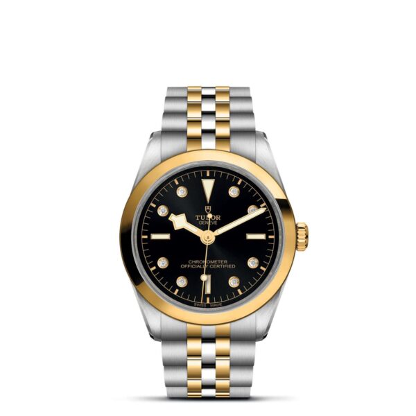 Tudor Black Bay   796430006