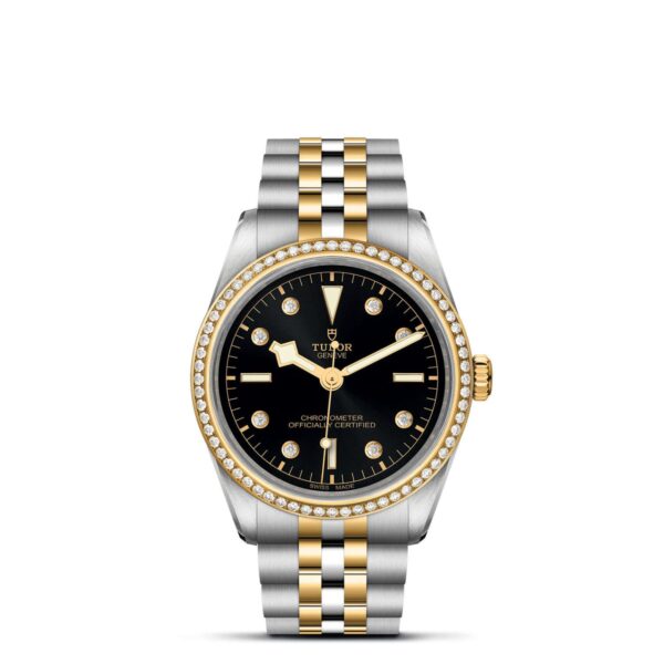 Tudor Black Bay   796530005