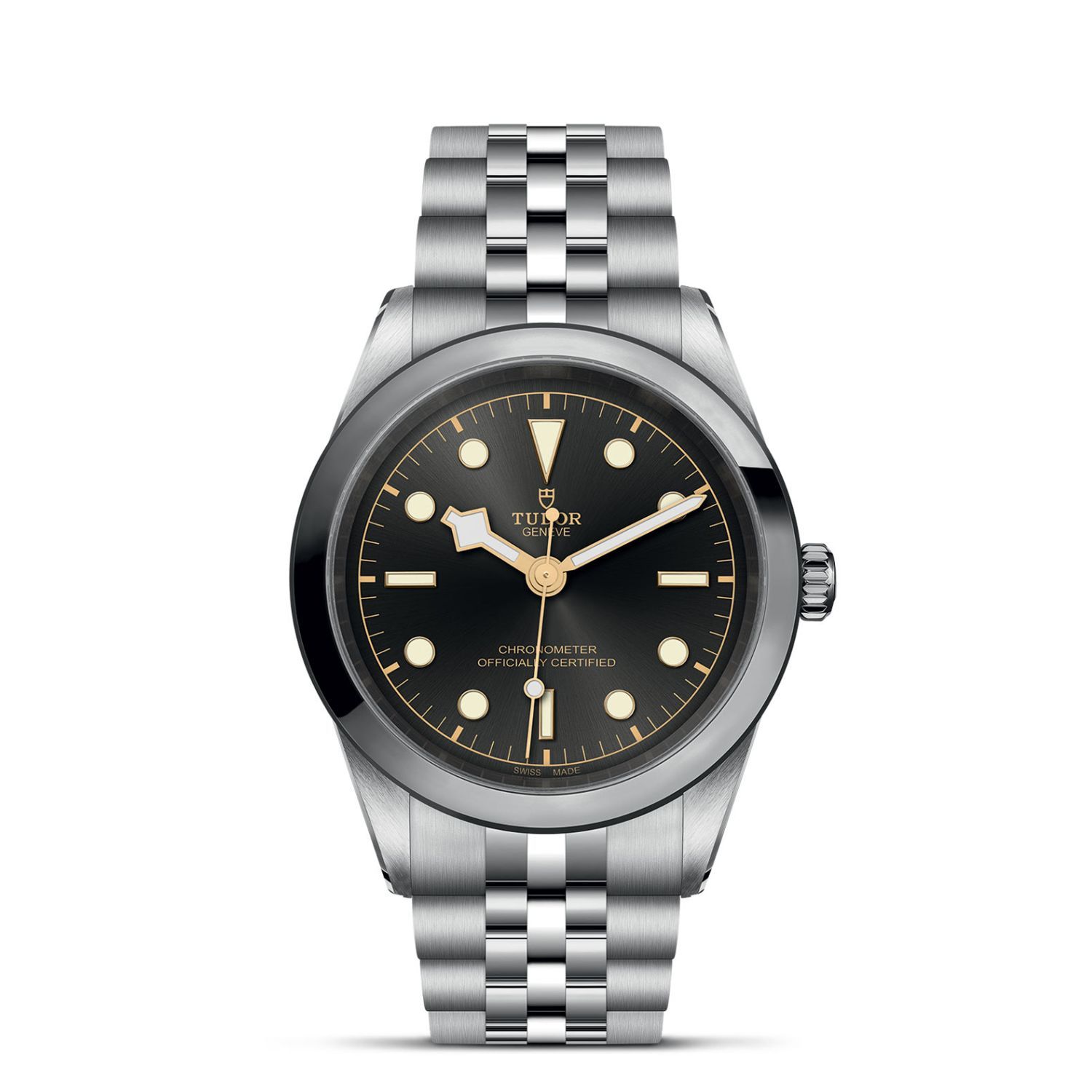 Tudor Black Bay   796800001