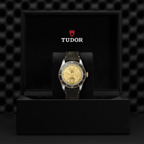 Tudor Black Bay   79733N0003