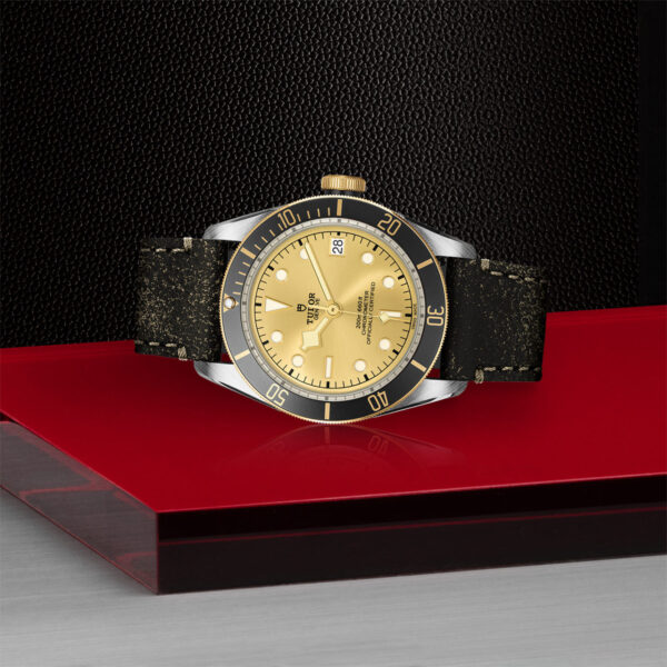 Tudor Black Bay   79733N0003