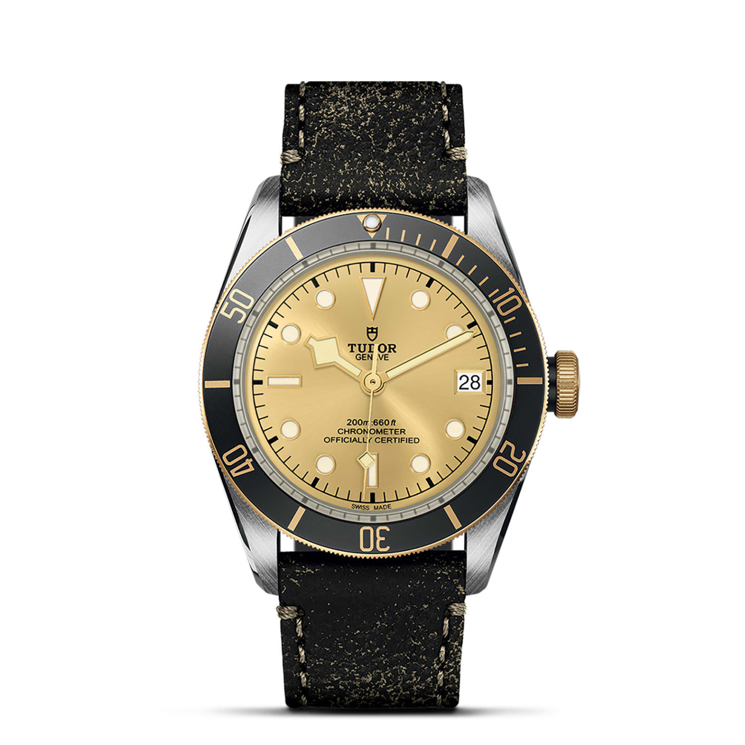 Tudor Black Bay   79733N0003