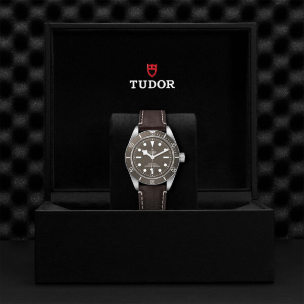 Tudor Black Bay 925   79010SG0001