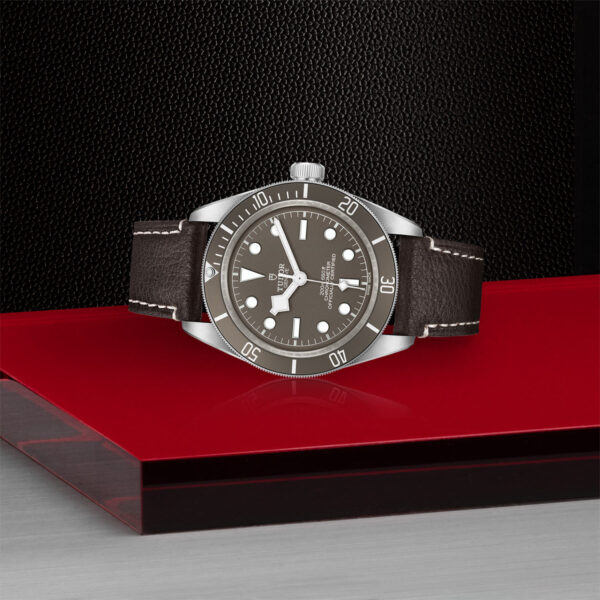 Tudor Black Bay 925   79010SG0001