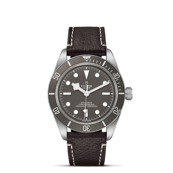 Tudor Black Bay 925   79010SG0001