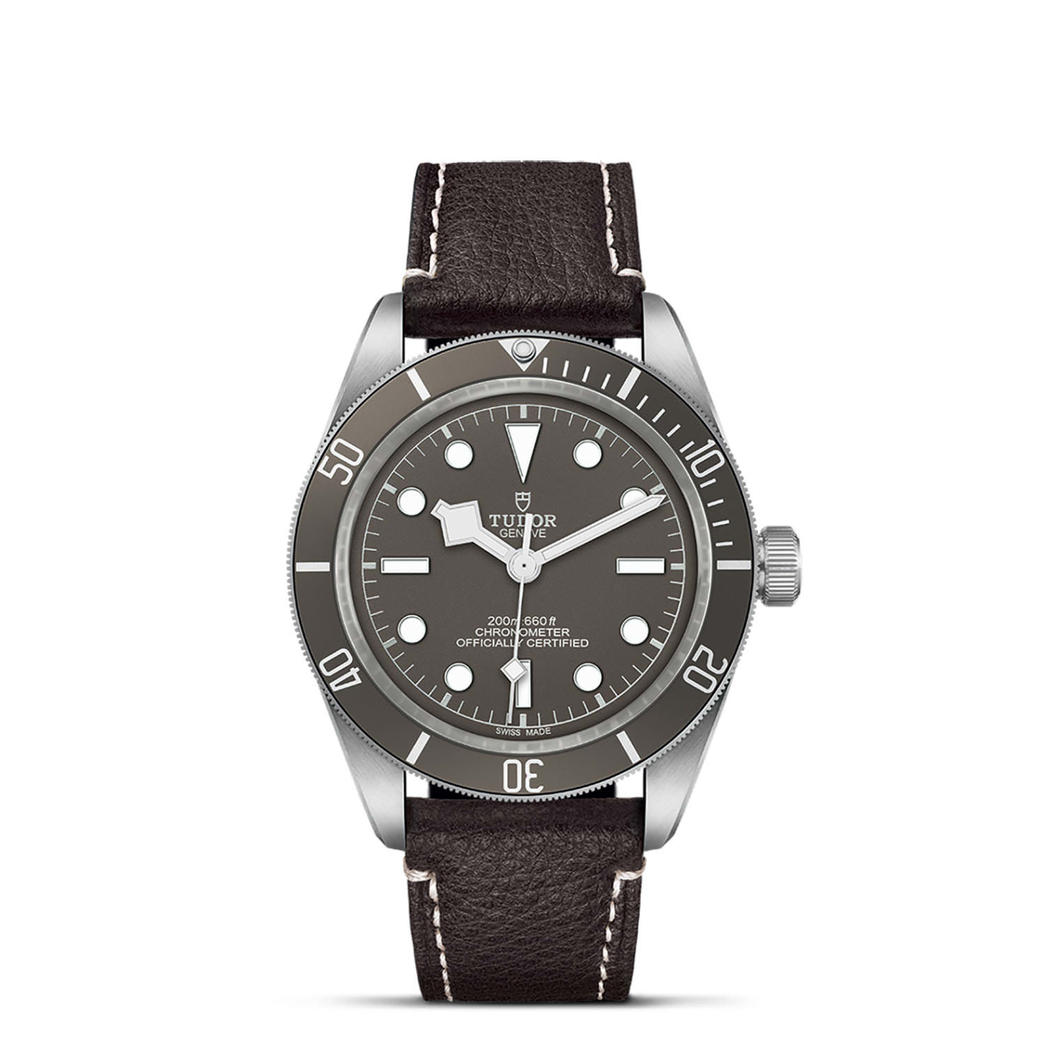 Tudor Black Bay 925   79010SG0001