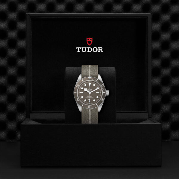 Tudor Black Bay 925  79010SG0002