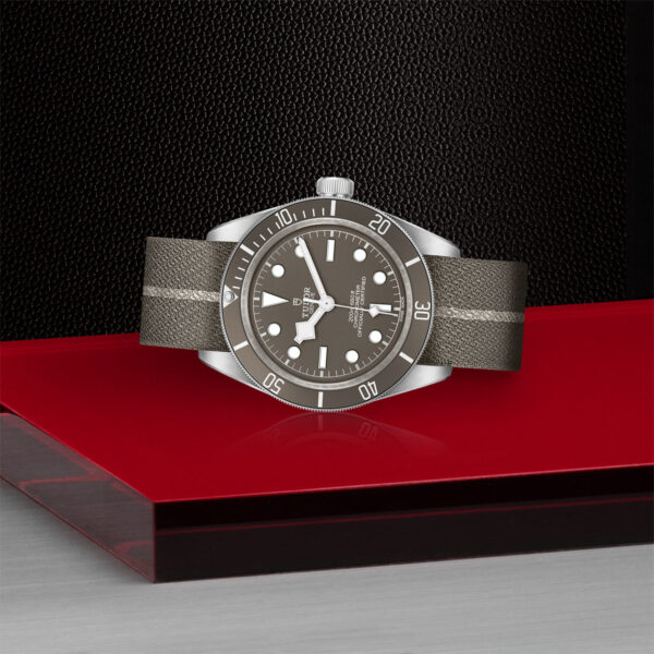 Tudor Black Bay 925  79010SG0002