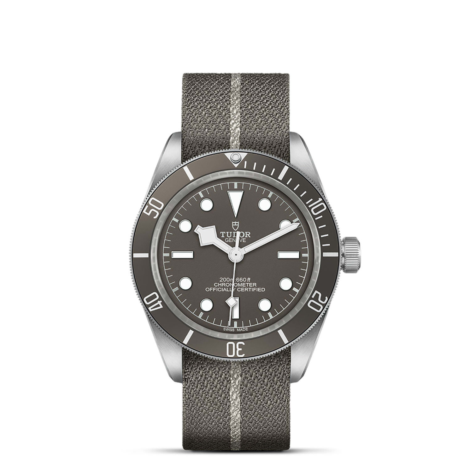 Tudor Black Bay 925  79010SG0002