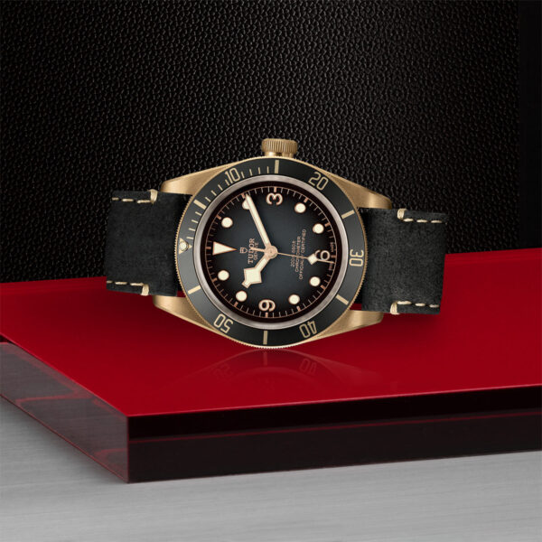 Tudor Black Bay Bronze 43 mm  79250BA0001