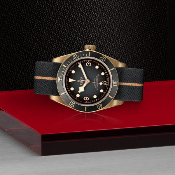 Tudor Black Bay Bronze  79250BA0002