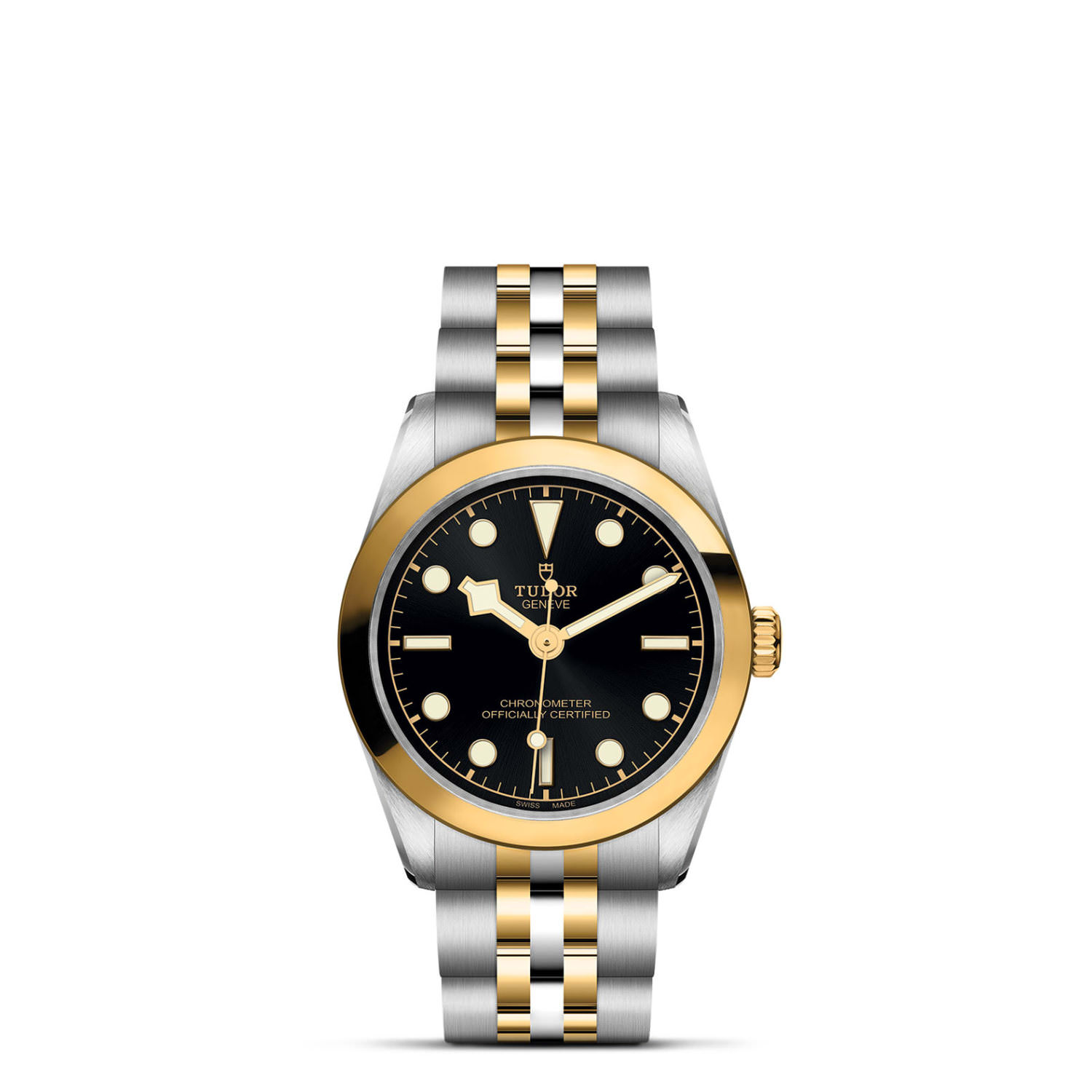 Tudor Black Bay S&G  796030001