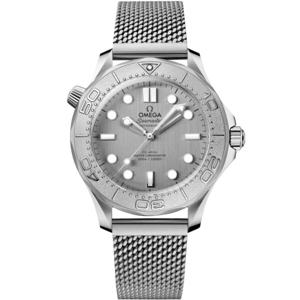 Omega Seamaster Diver 300M  O21030422006002