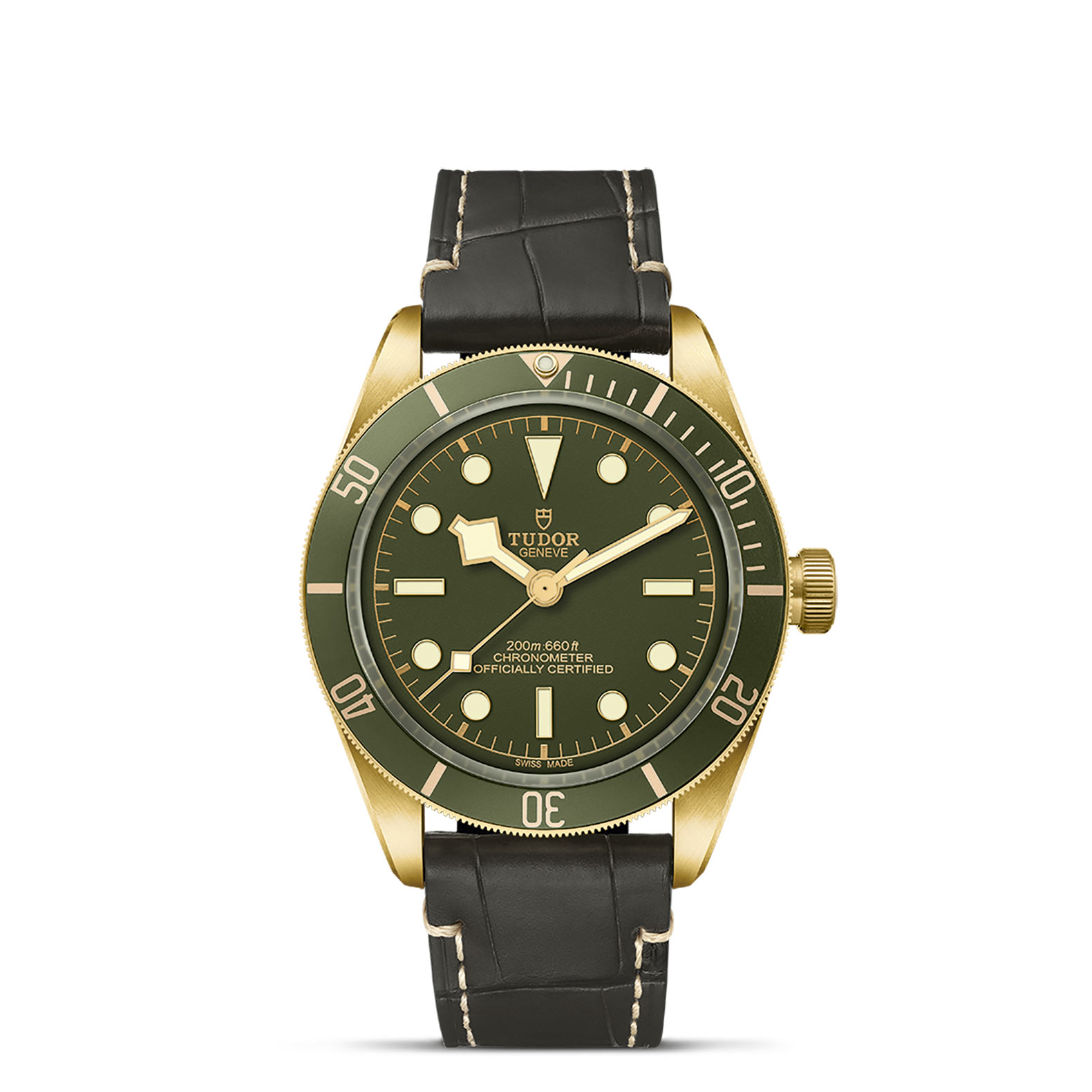 Tudor Black Bay 58  79018V0001