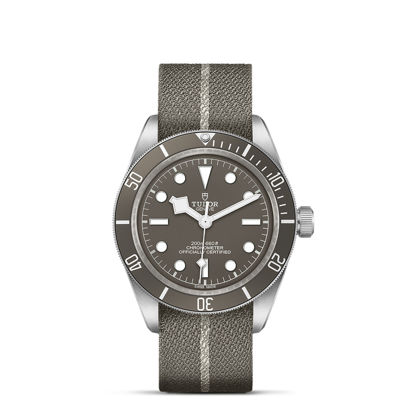 Tudor Black Bay 925  79010SG0002