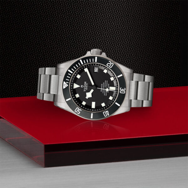 Tudor Pelagos  25600TN0001