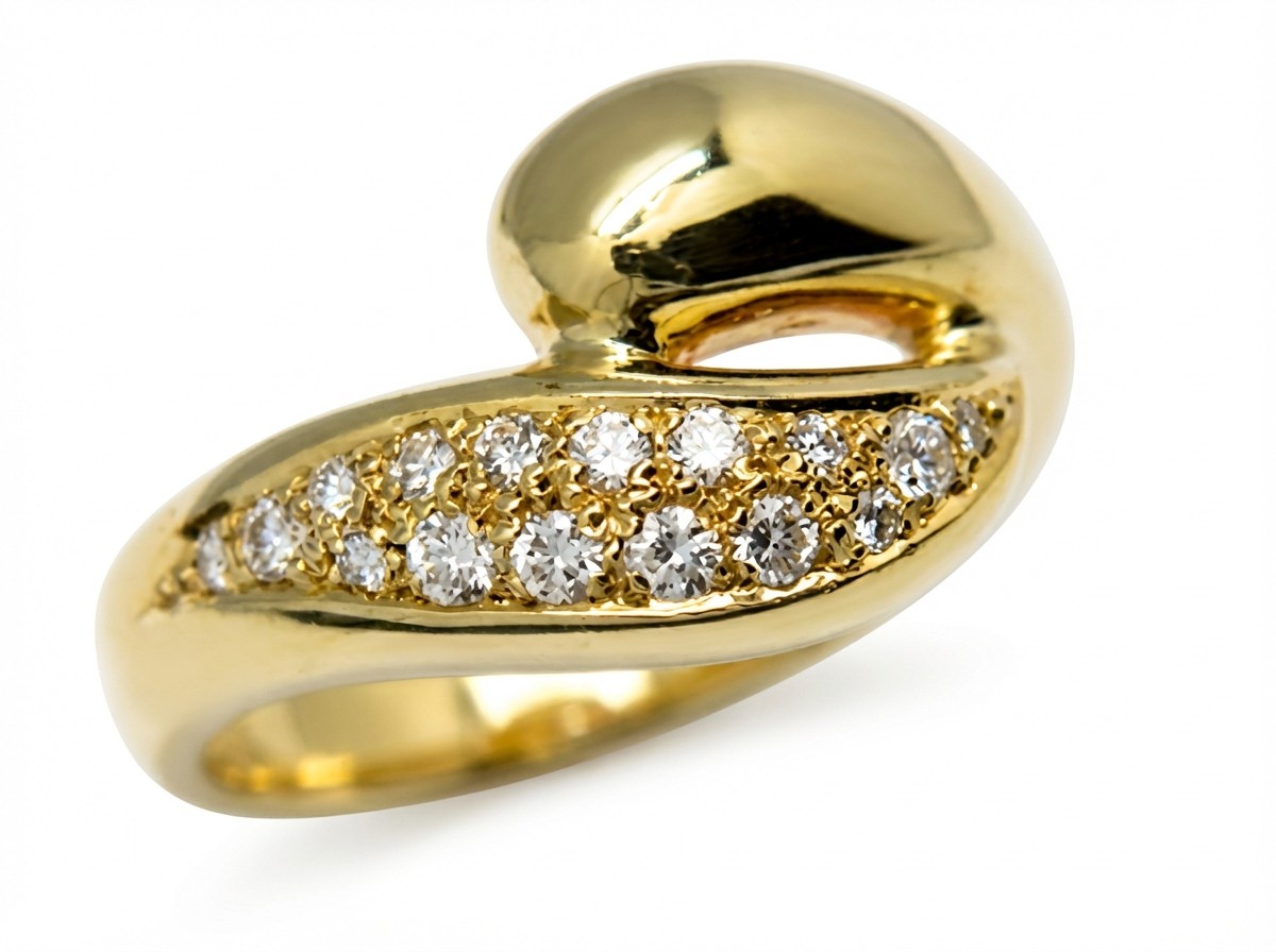 Ring 1005