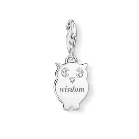SALE 25%: Thomas Sabo Charm-Anhänger WISDOM Anhänger DC0033-725-14