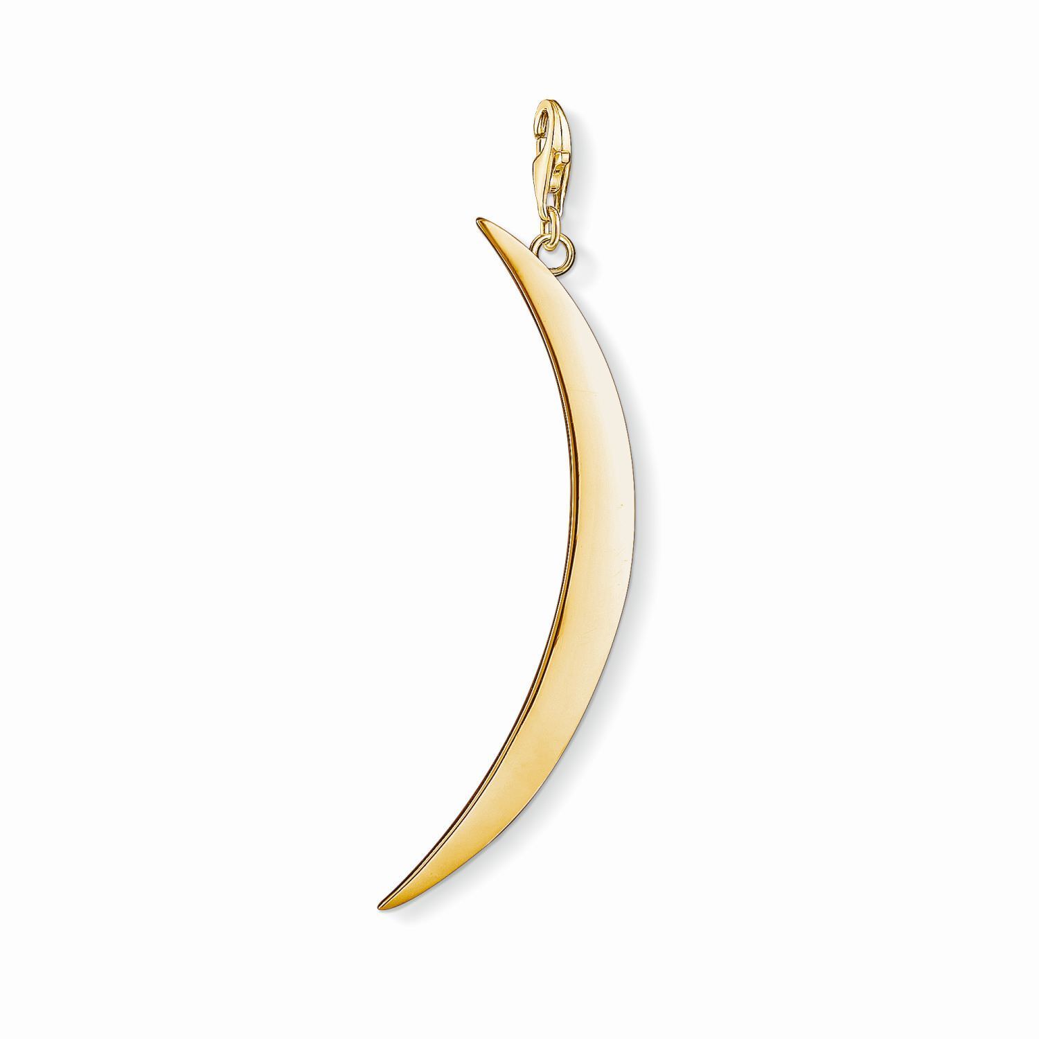 SALE 25%: Thomas Sabo Charm Club Anhänger Y0004-413-39