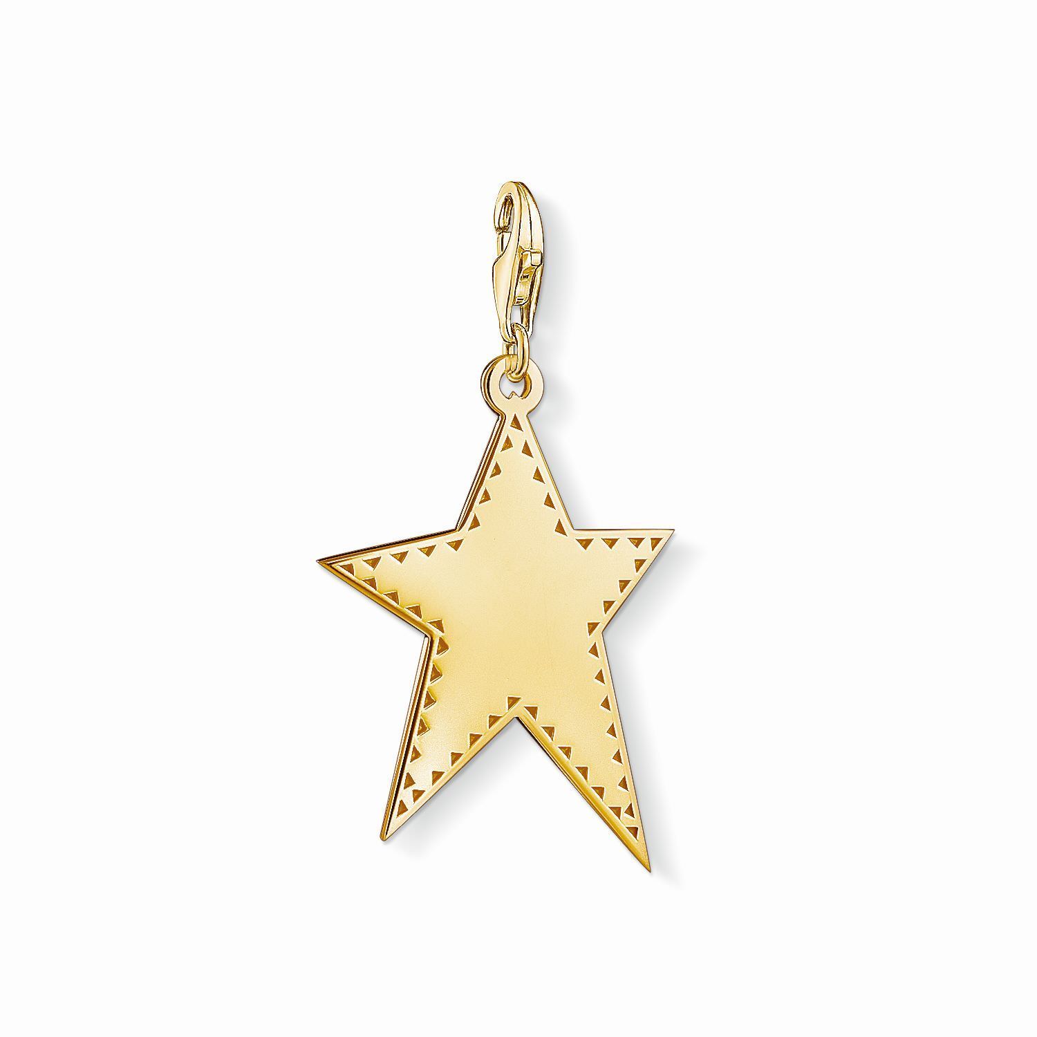 SALE 25%: Thomas Sabo Charm Club Anhänger Y0040-413-39