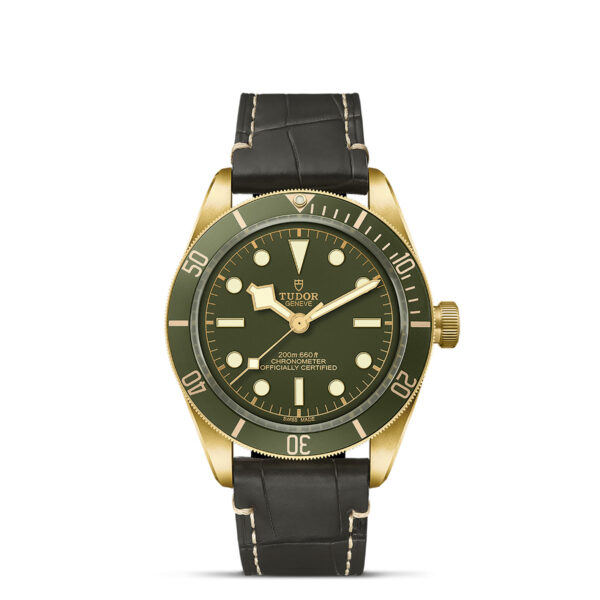 Tudor Black Bay 58  79018V0001