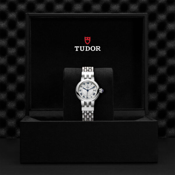 Tudor Clair de rose   352000001