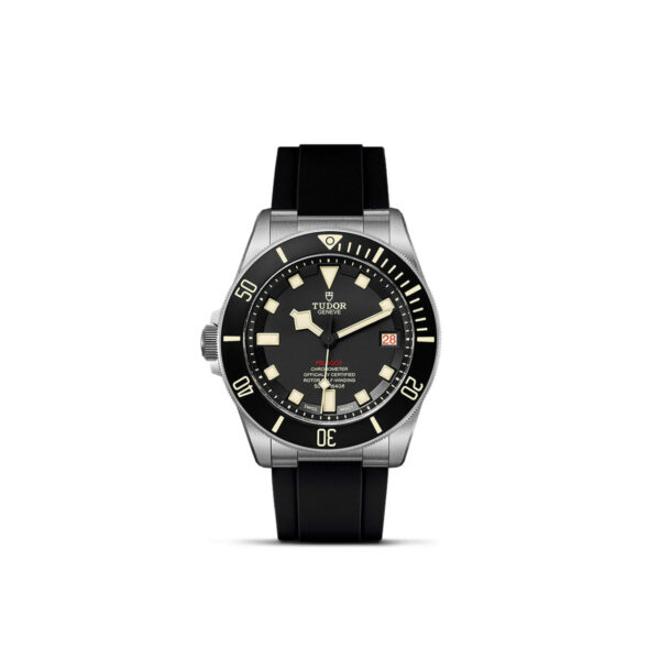 Tudor Pelagos   25610TNL0001