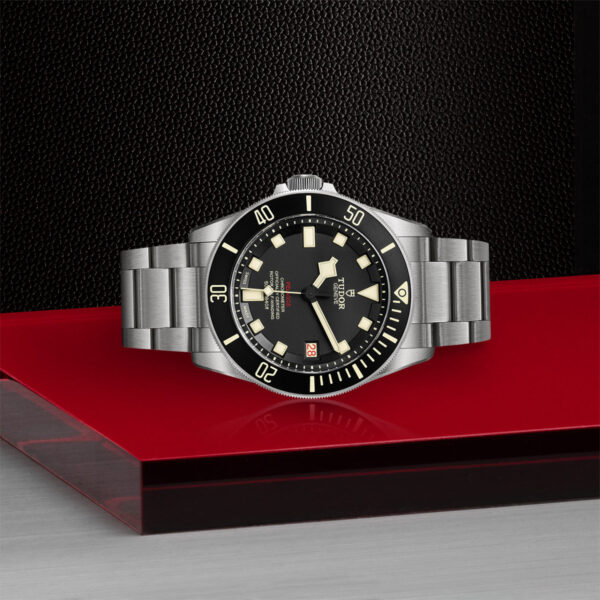 Tudor Pelagos   25610TNL0001
